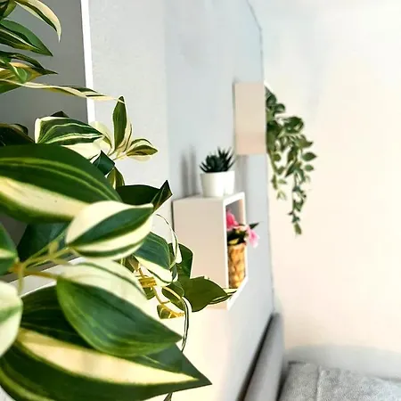 Le Revol Apartment Grenoble